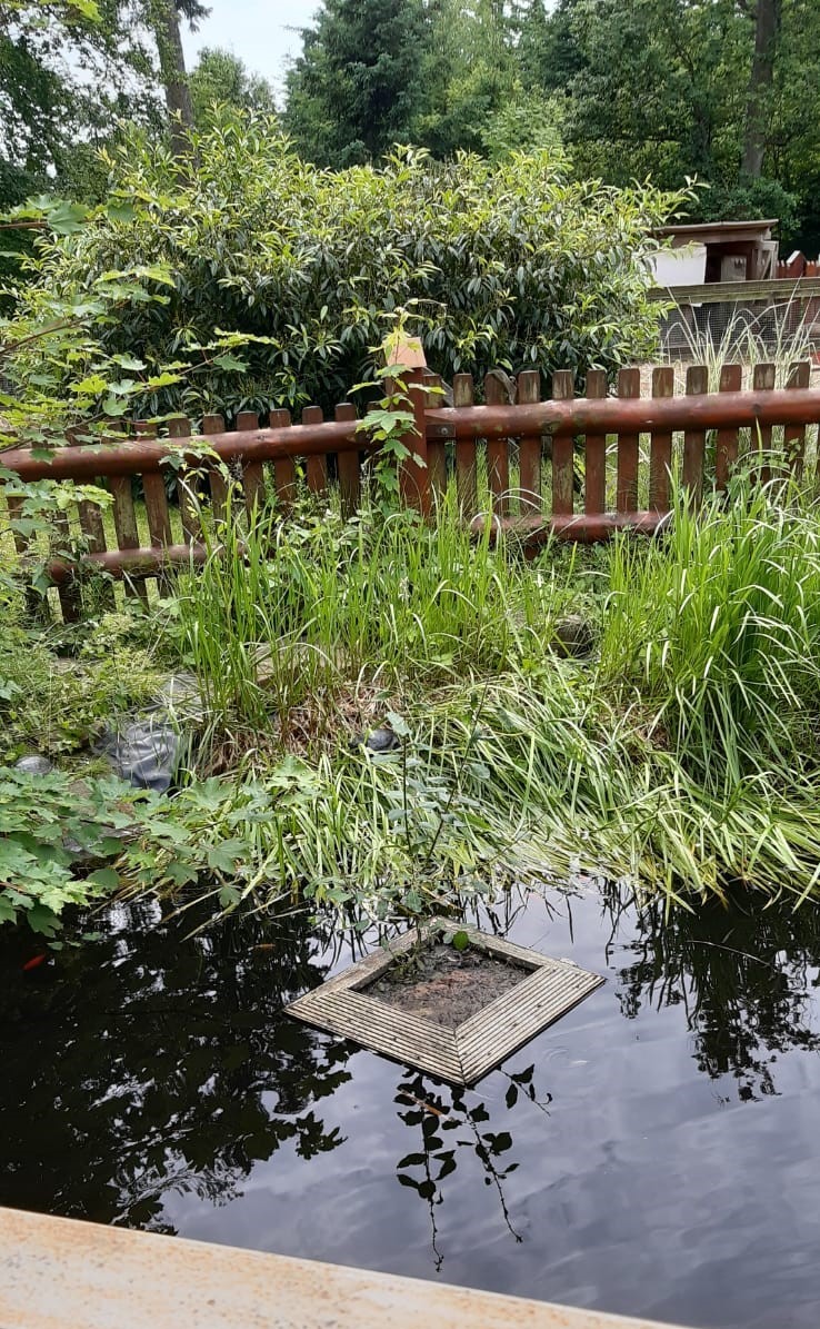 zum Gasthaus mit dem schön angelegten kleinen Teich. zum Gasthaus mit dem schön angelegten kleinen Teich.