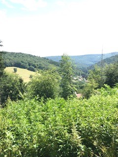 Mit einem letzten Blick ins Tal endete ein schöner langersehnter Wandertag. Mit einem letzten Blick ins Tal endete ein schöner langersehnter Wandertag.